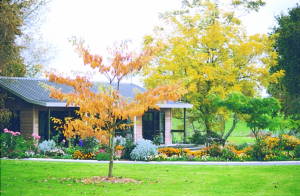 Oraka Deer Park Self Contained cottage and Homestay