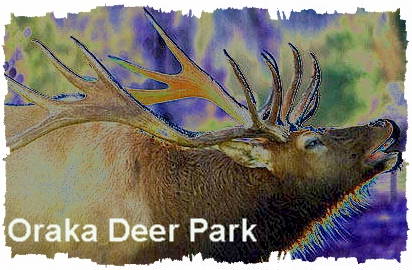 Oraka Deer Park